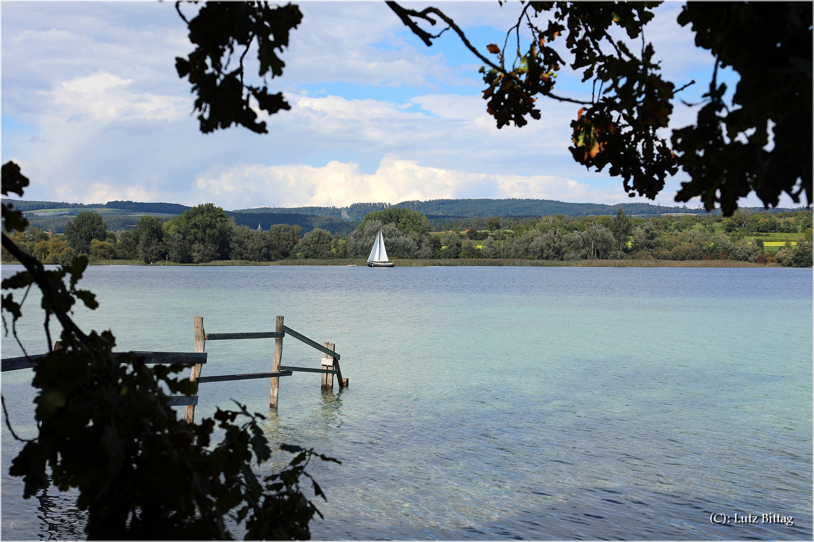 Am Ufer der Mettnau