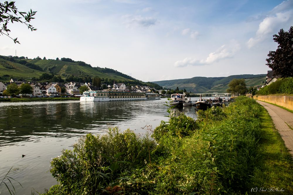 Am Ufer der Mosel....