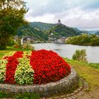 Am Ufer der Mosel in Cochem