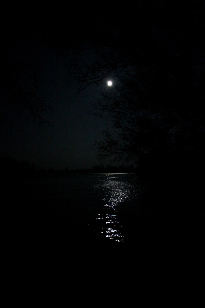 am Ufer der Nacht...