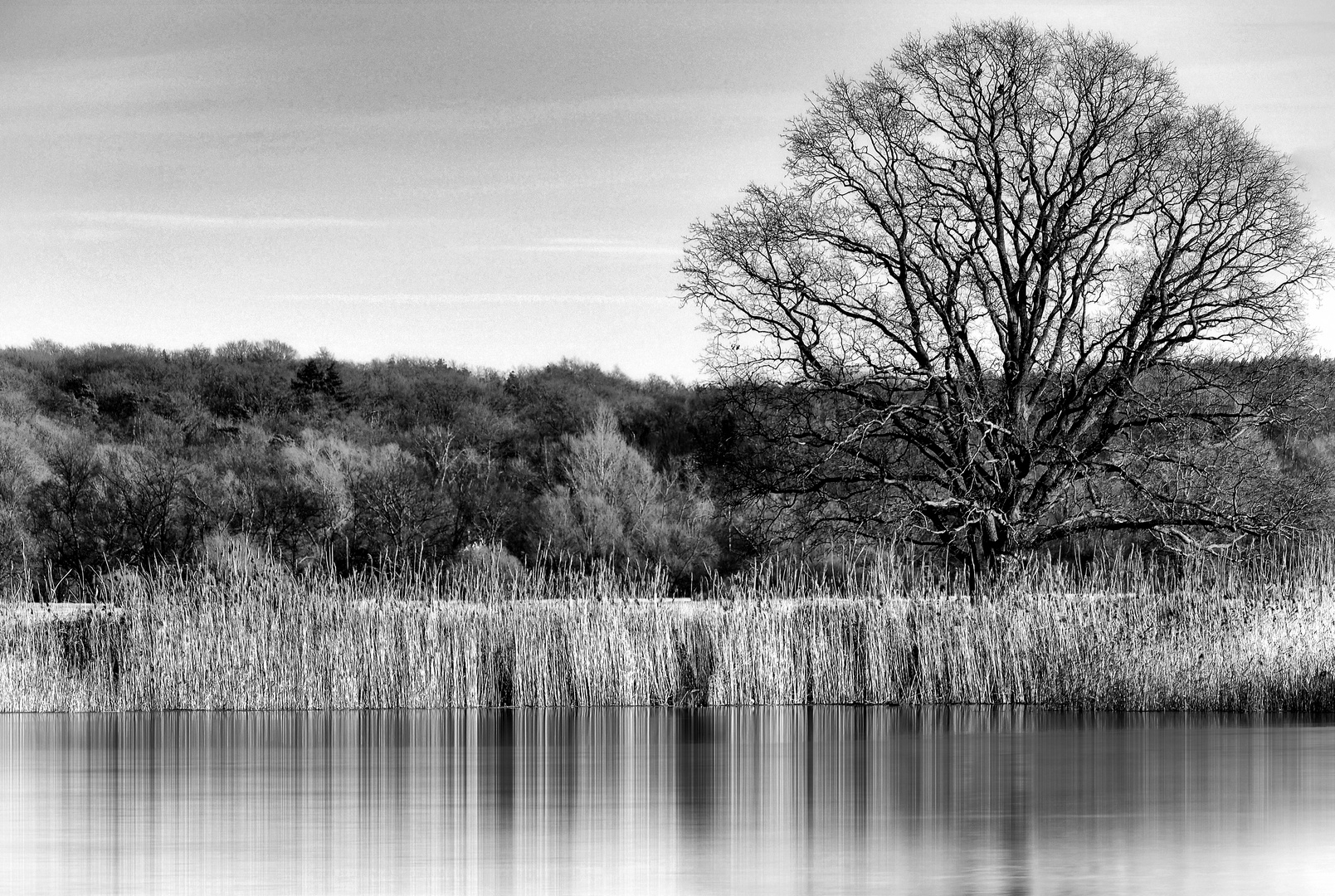 am Ufer der Oder Foto & Bild landschaft, bach, fluss & see, flüsse und kanäle Bilder auf am Ufer der Oder Foto & Bild landschaft, bach, fluss & see, flüsse und kanäle Bilder auf