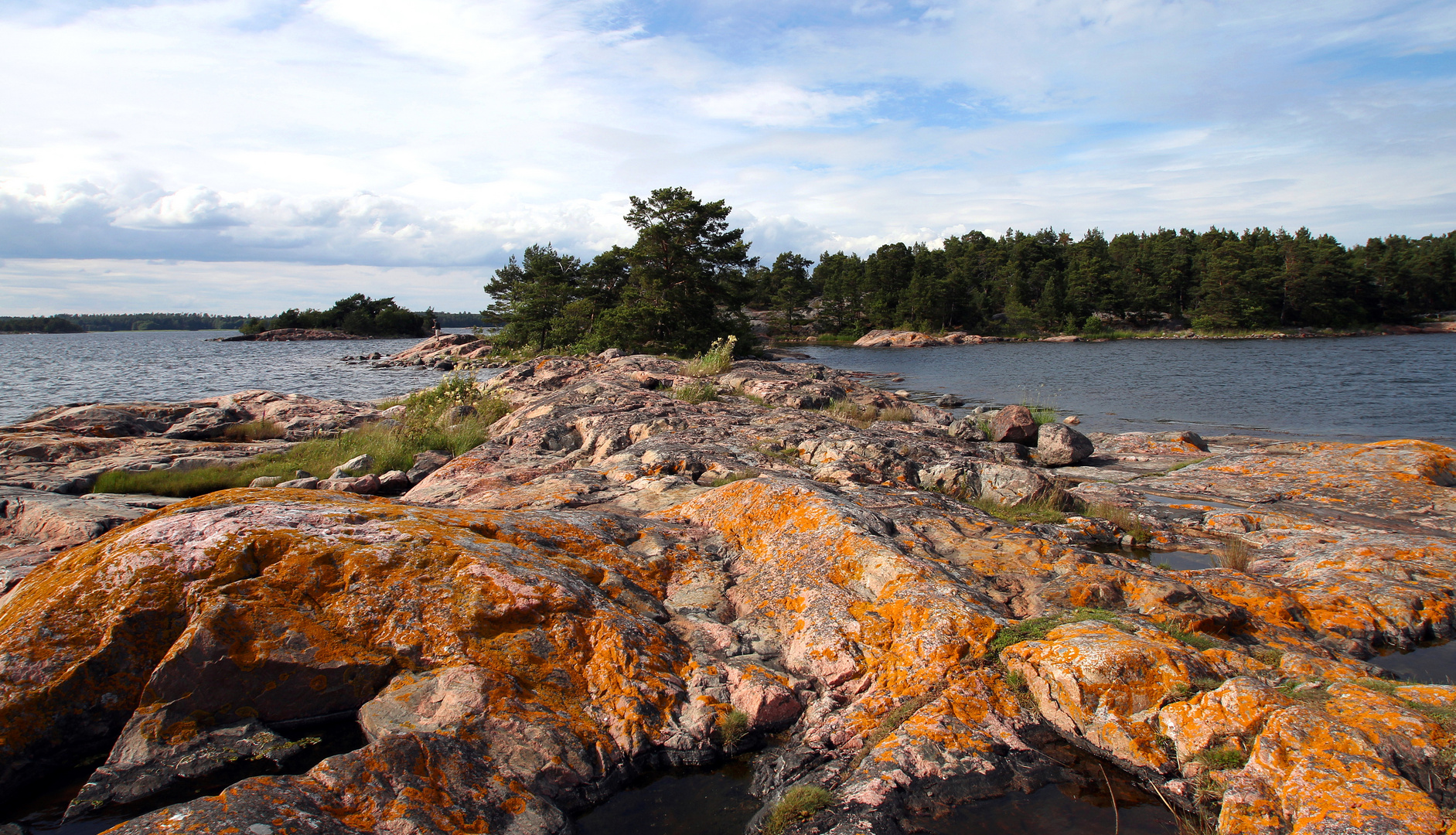 Am Ufer der Ostsee