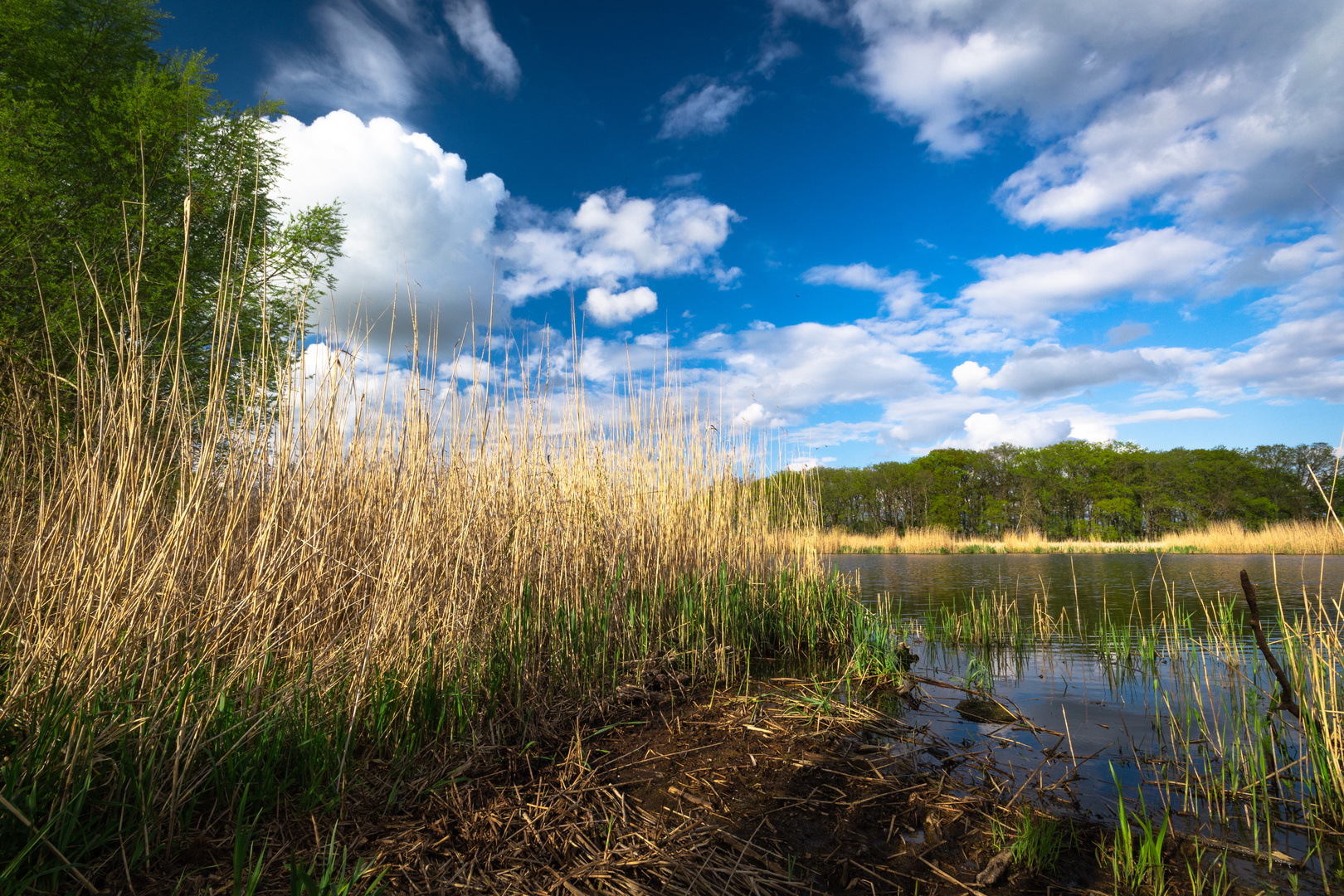 Am Ufer der Peene