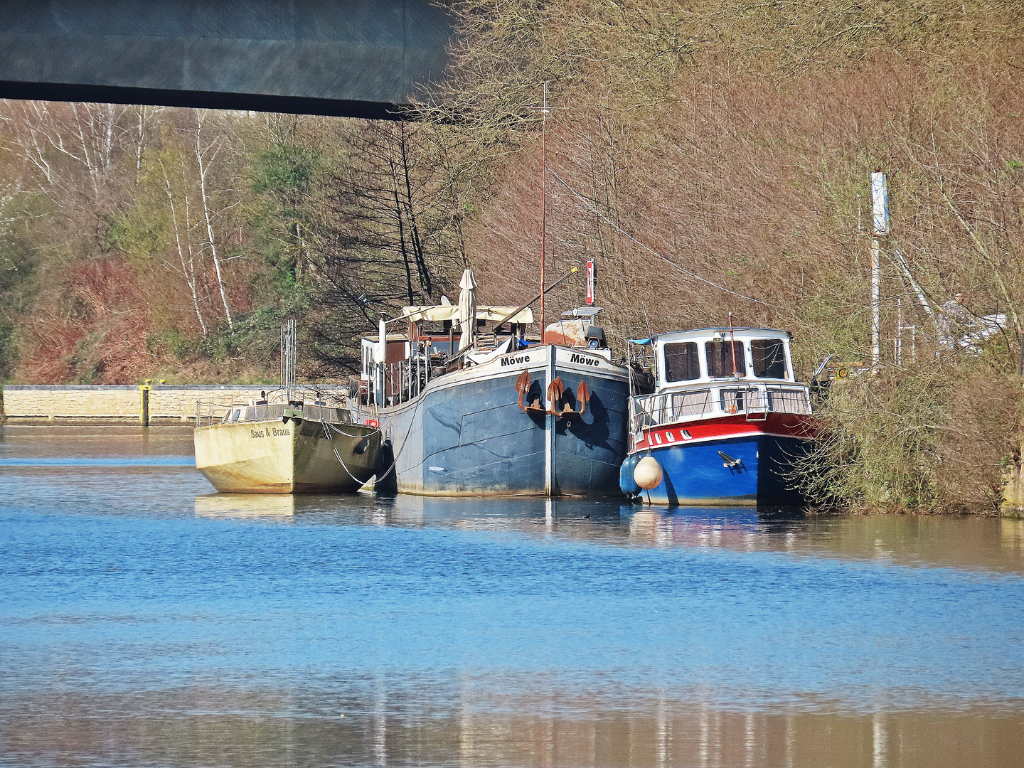 Am Ufer der Saar bei Saarbrücken