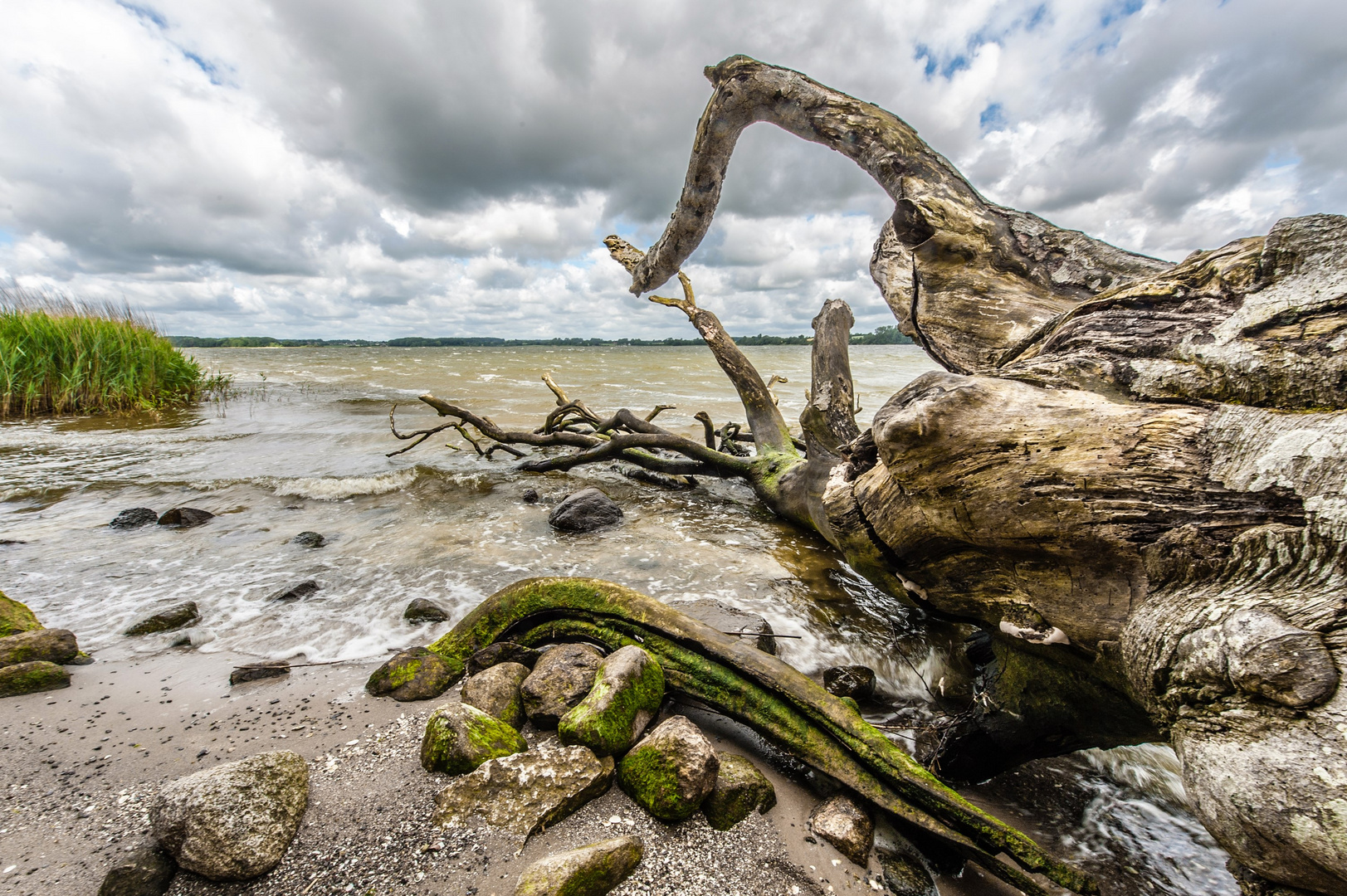 Am Ufer der Schlei