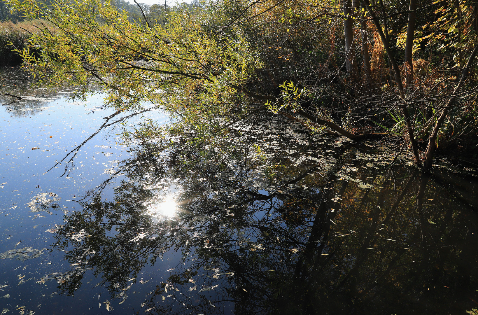 am ufer der schwentine