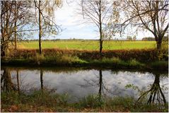 Am Ufer der Spree bei Spreewiese