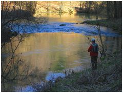 Am Ufer der Wiesent