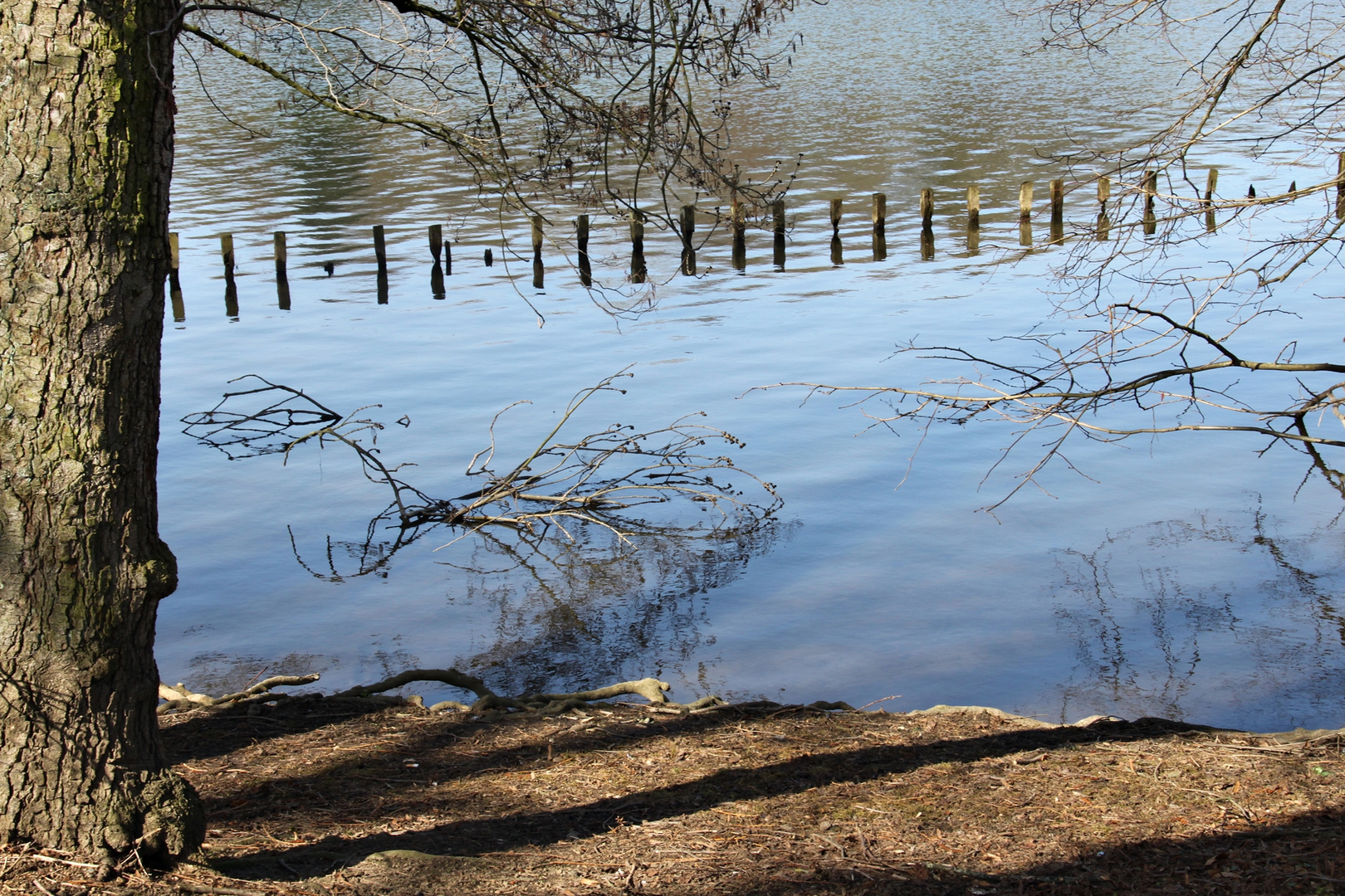 Am Ufer des Baldeneysees in Essen-Kupferdreh 