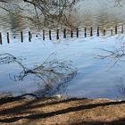 Am Ufer des Baldeneysees in Essen-Kupferdreh 