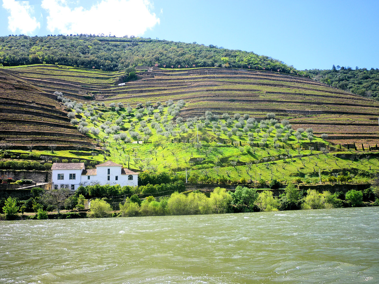 Am Ufer des Douro in Portugal