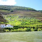 Am Ufer des Douro in Portugal