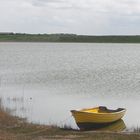 Am Ufer des Ferring-Sees bei Vejlby Klit (DK, Midtjylland)