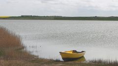 Am Ufer des Ferring-Sees bei Vejlby Klit (DK, Midtjylland)