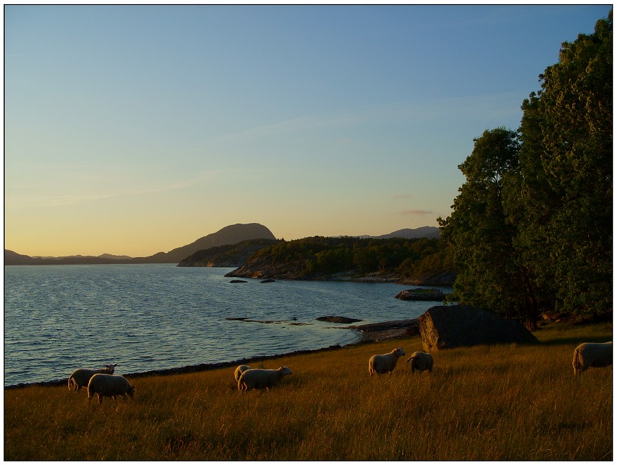 Am Ufer des Fjordes