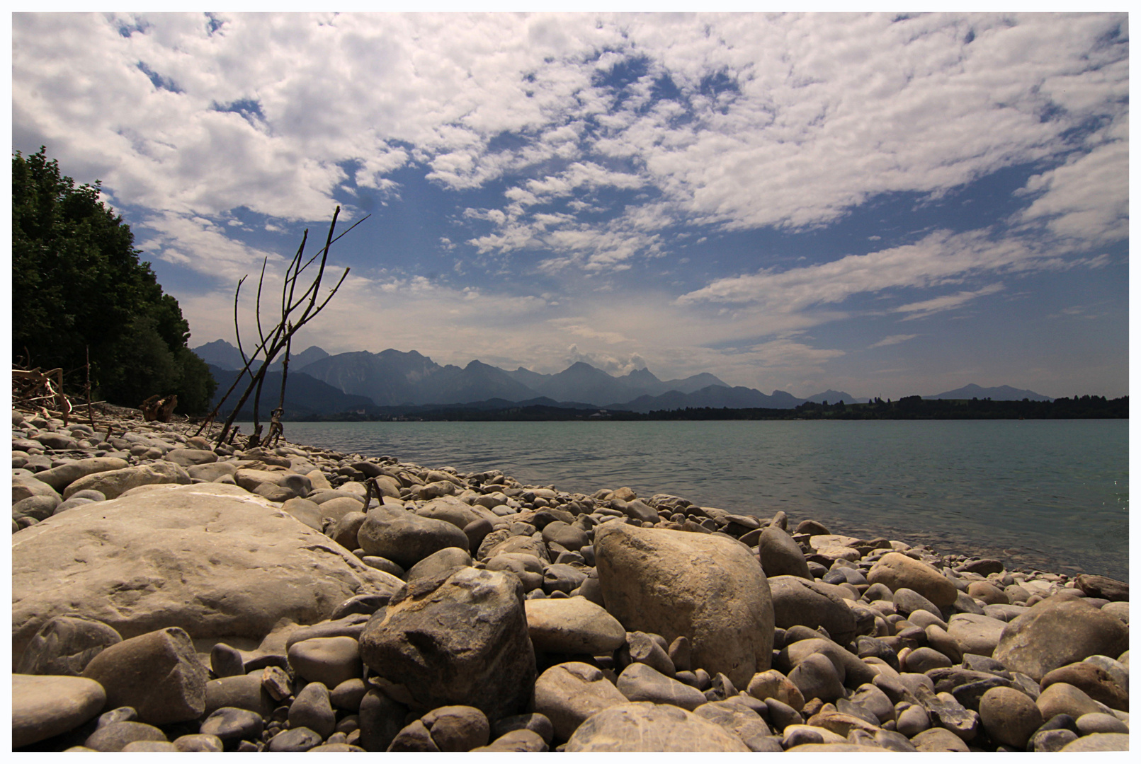 Am Ufer des Forggensees