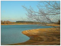 Am Ufer des Großen Rothsee