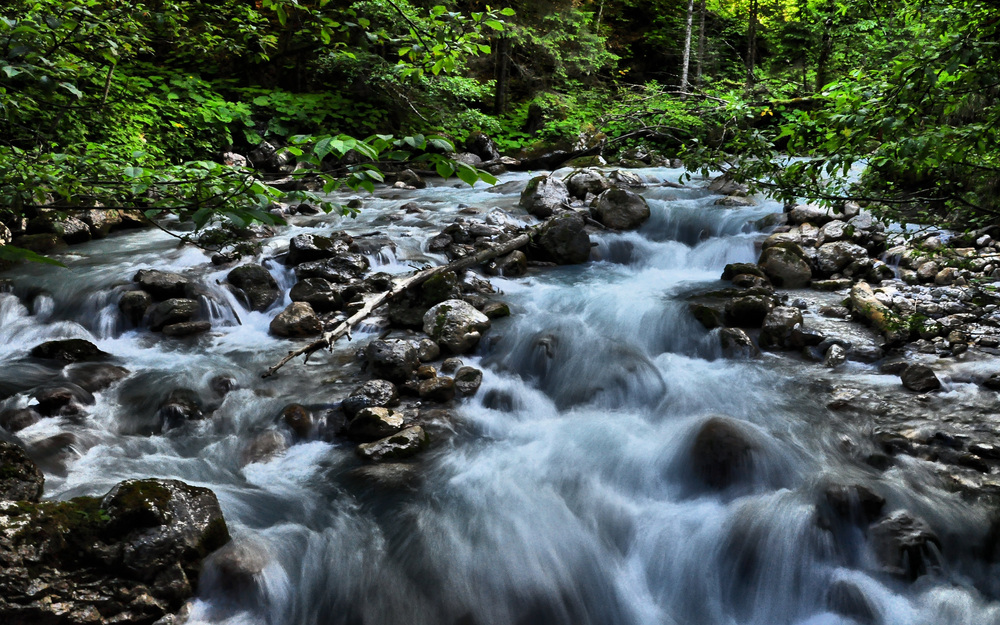 Am Ufer des Hammersbach.......