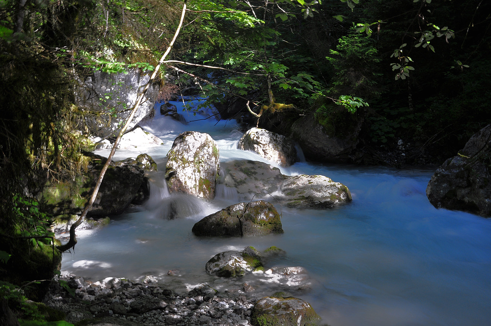 Am Ufer des Hammersbach.....