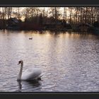 am ufer des hariksee #3