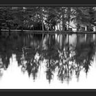 am ufer des hariksee