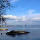 Am Ufer des Lac de Neuchâtel ...