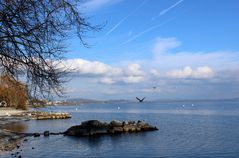 Am Ufer des Lac de Neuchâtel ...