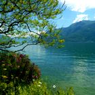 Am Ufer des Lago Maggiore