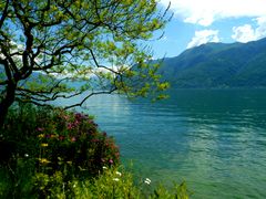 Am Ufer des Lago Maggiore