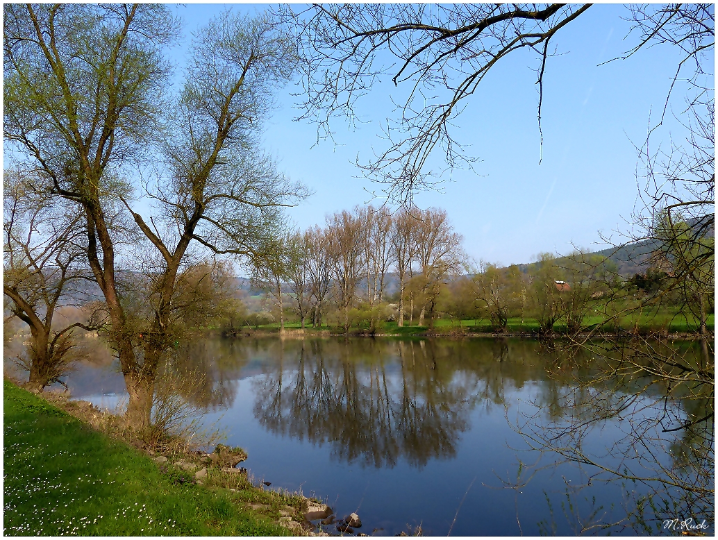 Am Ufer des Main ist auch der Frühling angekommen !