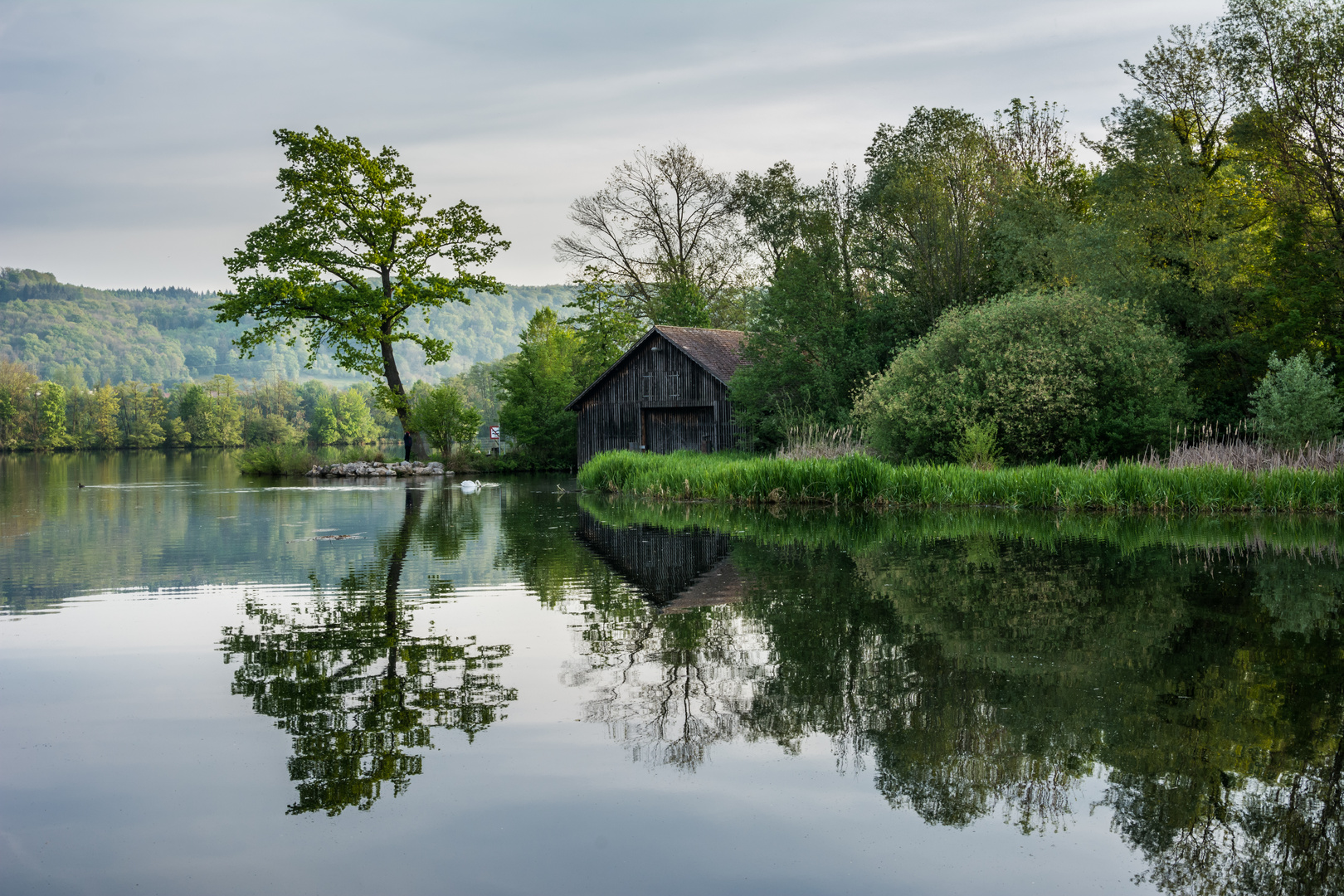 Am Ufer des Rhein