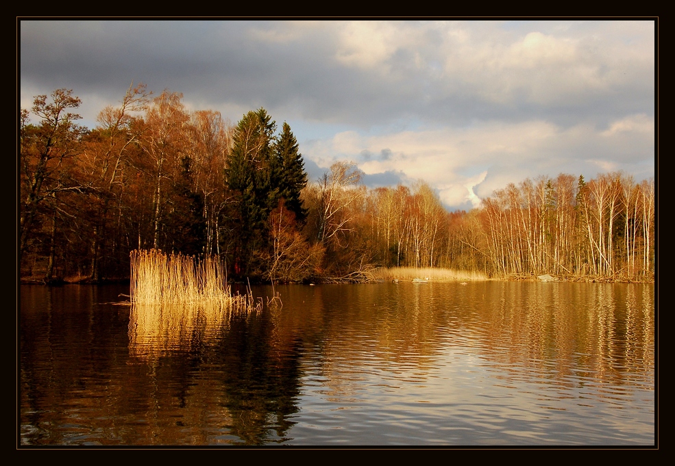 Am Ufer des Sees