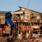 Am Ufer des Tonle Sap #1