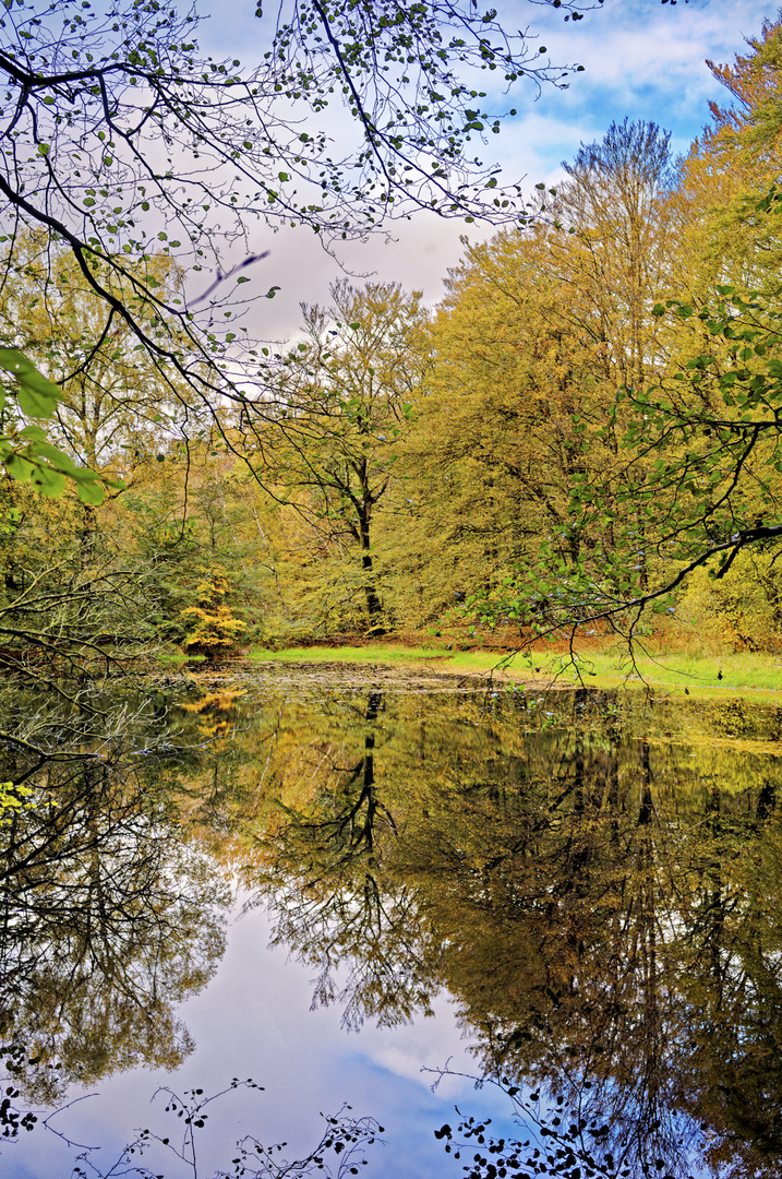 am Ufer des Waldsees....