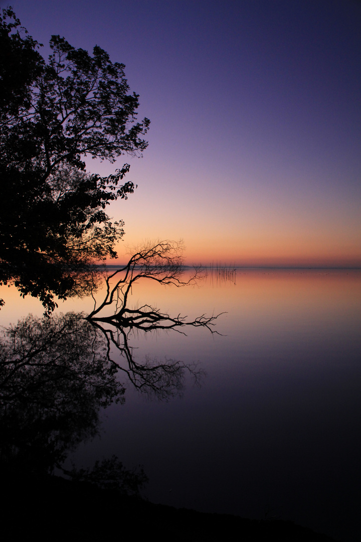 am Ufer-im Morgenrot