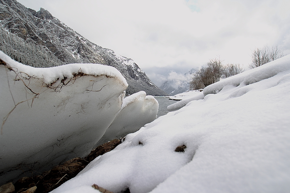 am Ufer - vom Heiterwanger See  - 22.03.2015