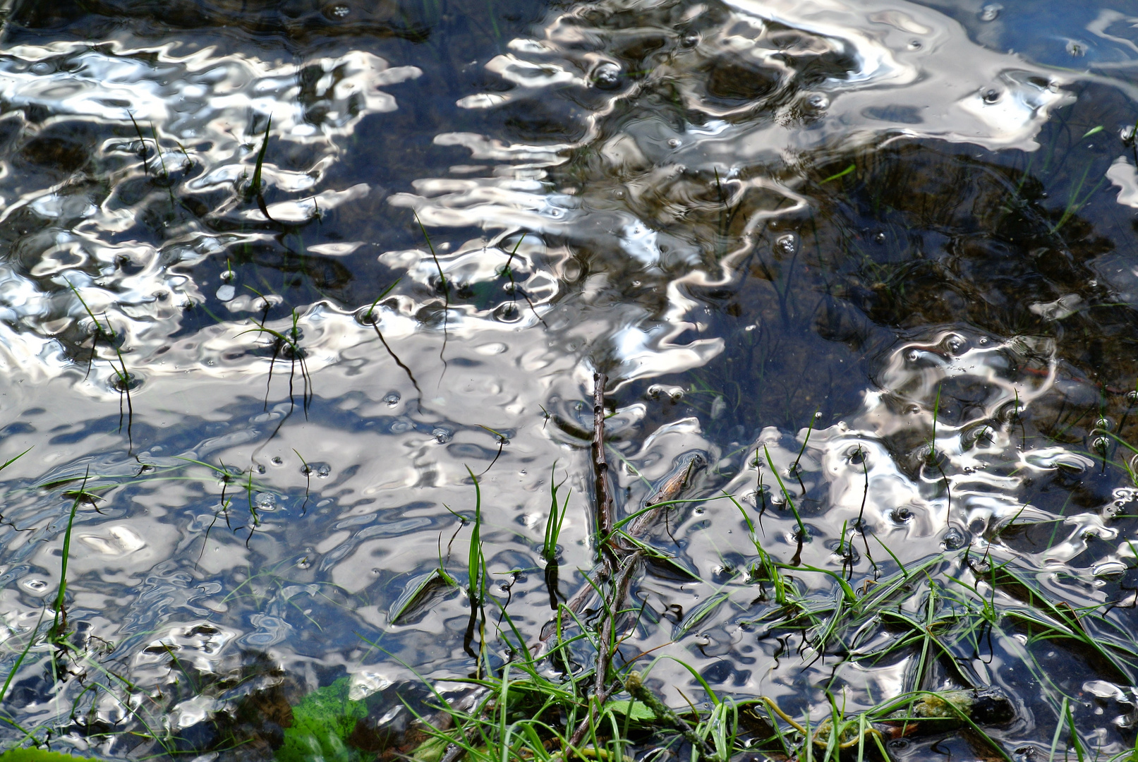 Am Ufer vom Koldinger See