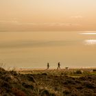 Am Ufer zum Wattenmeer