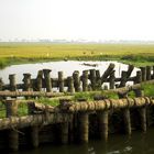 am Uferrande... Südindien, Kerala, Alleppey