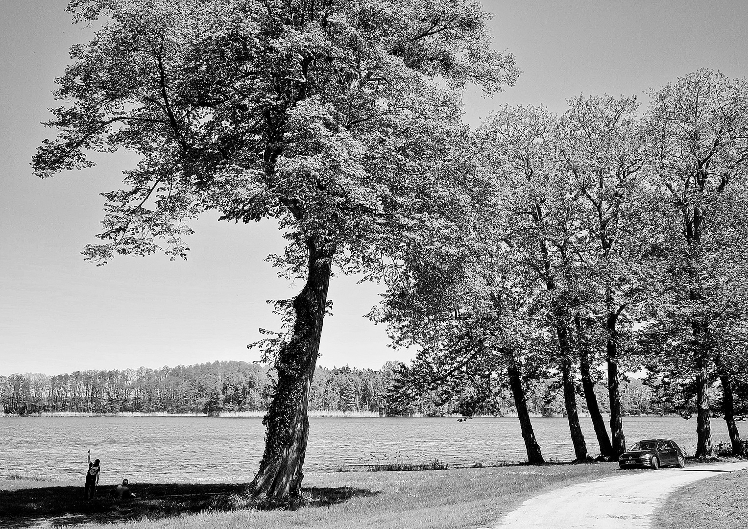 Am Ulrichshuser See