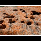 Am Uluru 06
