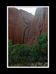 Am Uluru 12