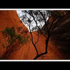 Am Uluru 13