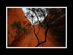 Am Uluru 13