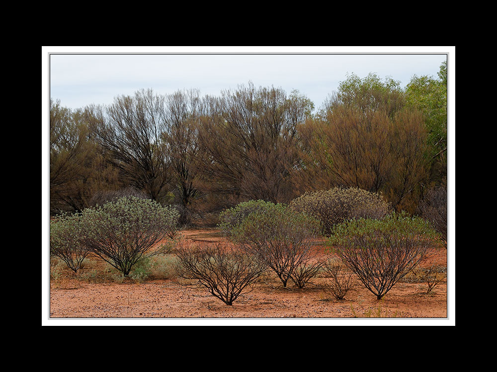 Am Uluru 16