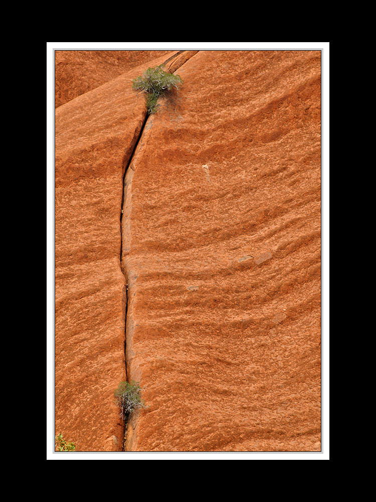 Am Uluru 18