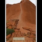 Am Uluru 22