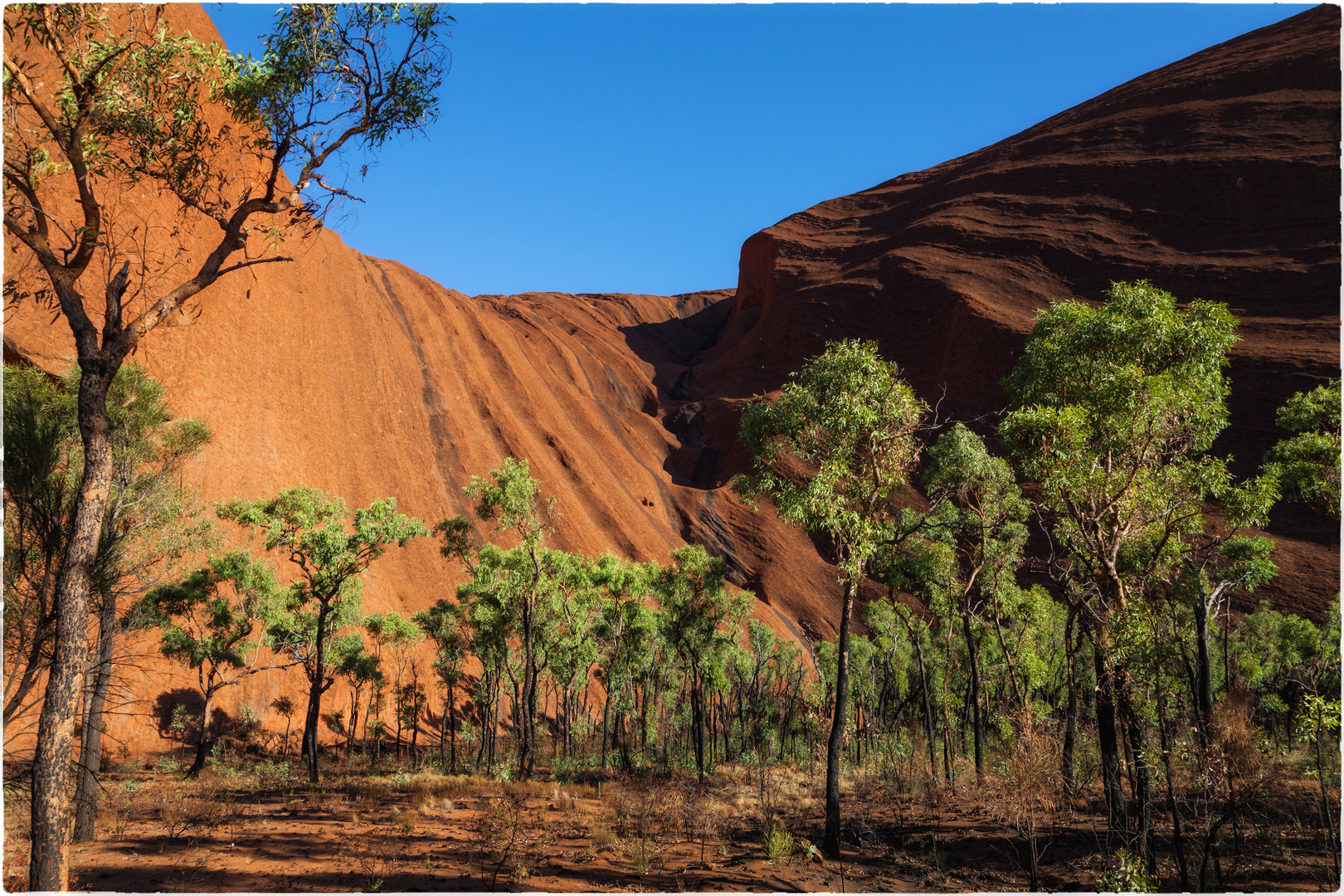 Am Uluru