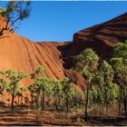 Am Uluru