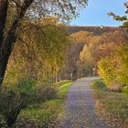 Am und im Alzeyer Weiher